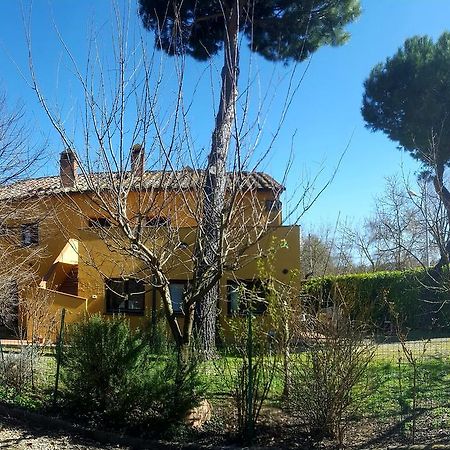Agriturismo La Cella Vila Arezzo Exterior foto