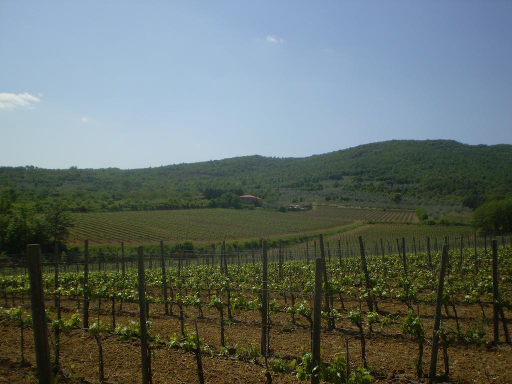 Agriturismo La Cella Vila Arezzo Exterior foto